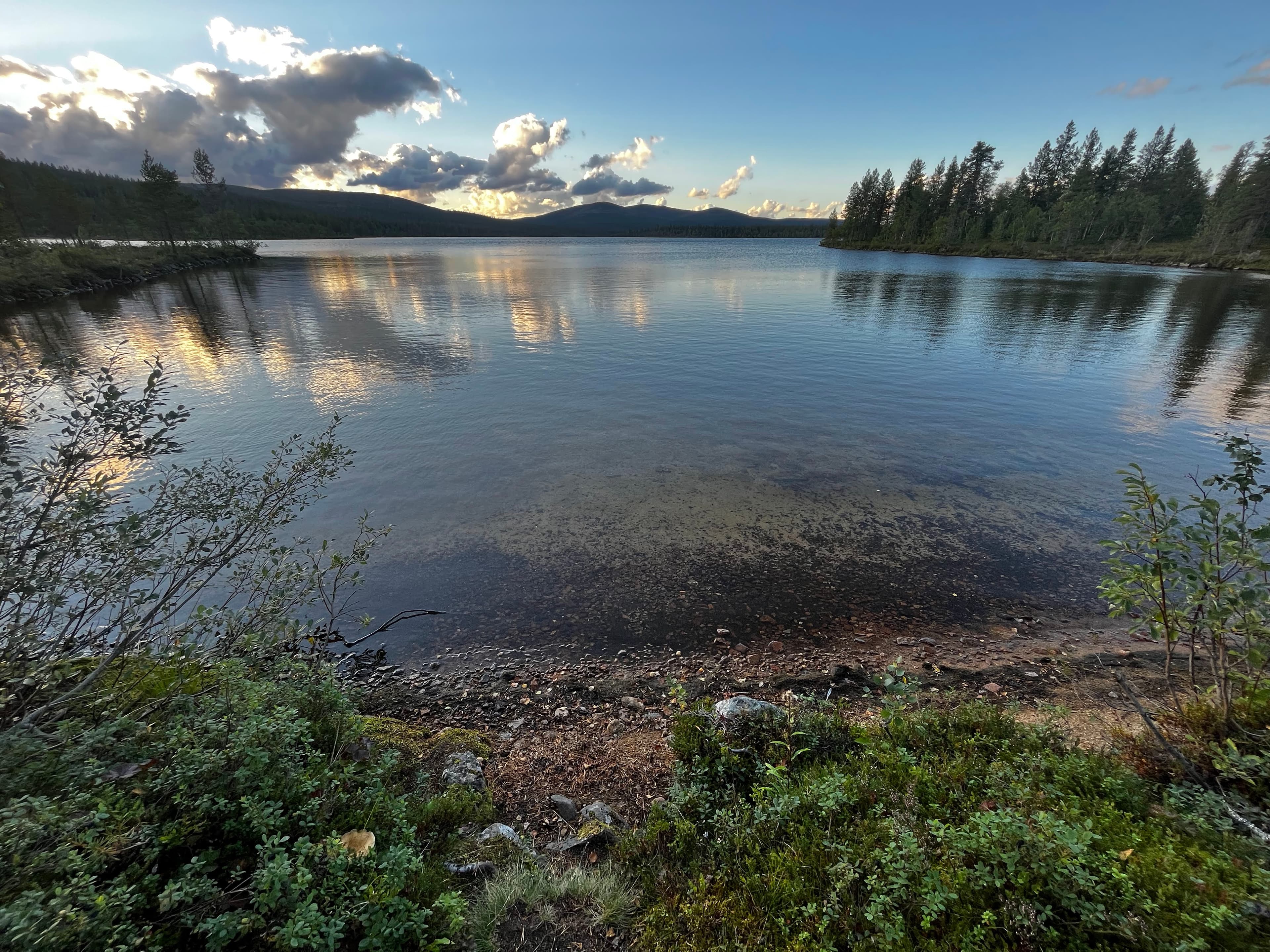 Tyyni erämaajärvi illan valossa